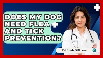 Does My Dog Need Flea And Tick Prevention? - PetGuide360.com