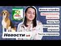 НОВОСТИ ПОЛЬШИ | Упрощение трудоустройства | Новые штрафы | Фальшивые справки | Перепись