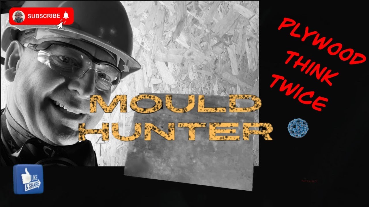 Mould removal from marine ply internal ceiling