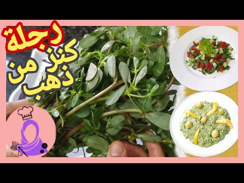 فيديو: هل الرجلة آمنة للأكل: تعرف على كيفية استخدام الأعشاب الضارة