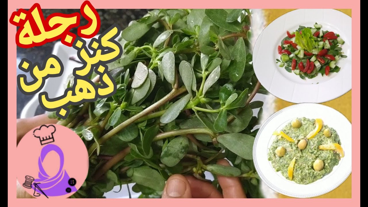 رجلة: تحضير الرجلة بطريقة صحية وفق نصائح دكتور الفايد و احليمي تقوي المناعة و مضادَّة للفيروسات