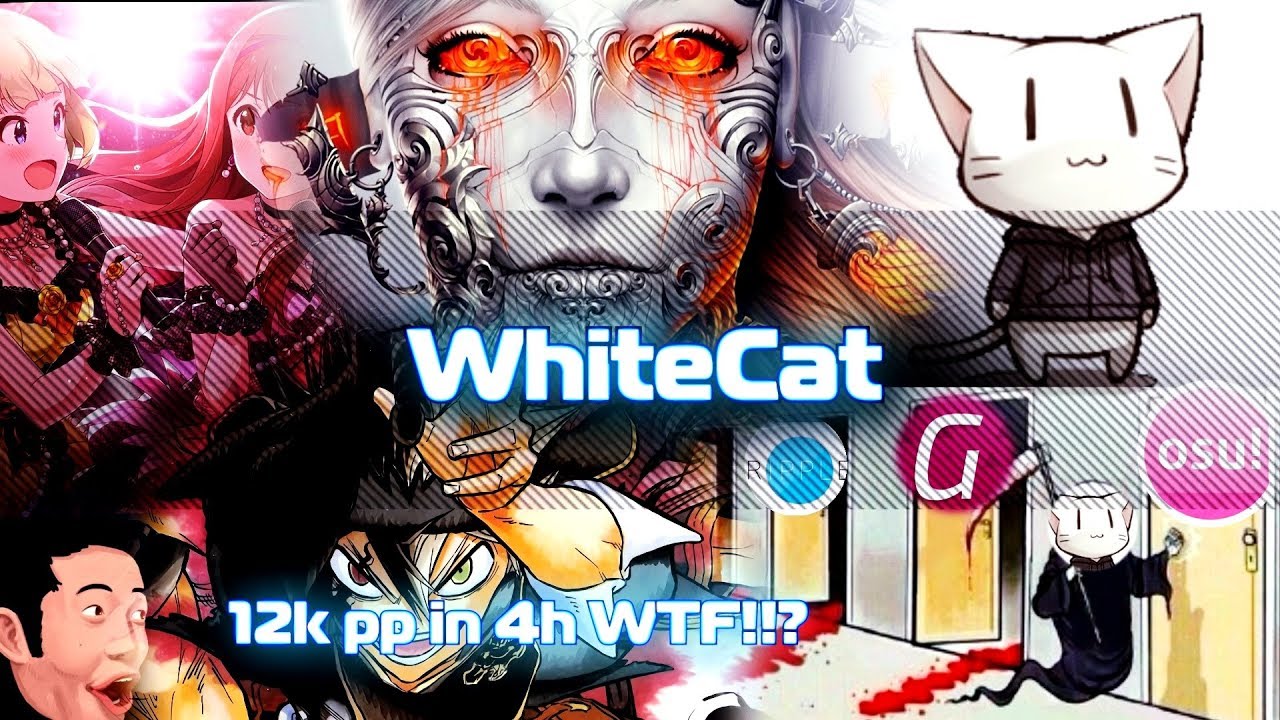 Whitecat osu skin