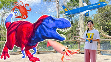 Changcady và khủng long đi máy bay, gặp nhiều con vật ở biển: khủng long bay, con cua, mực - P159