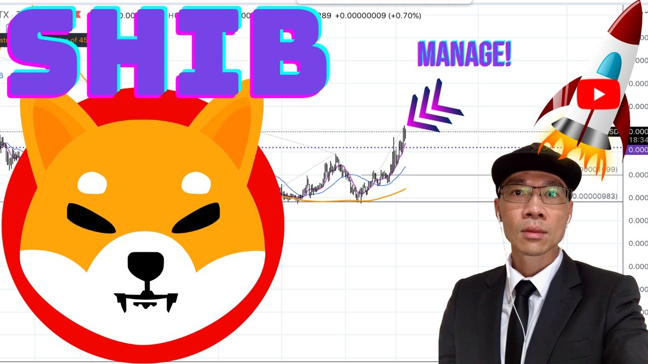 Shiba Inu Coin Analysis SHIB Price Predictions YouTube