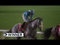 Race #2 – 07.11.25 – Arabian Adventures Maiden – Gray Boss