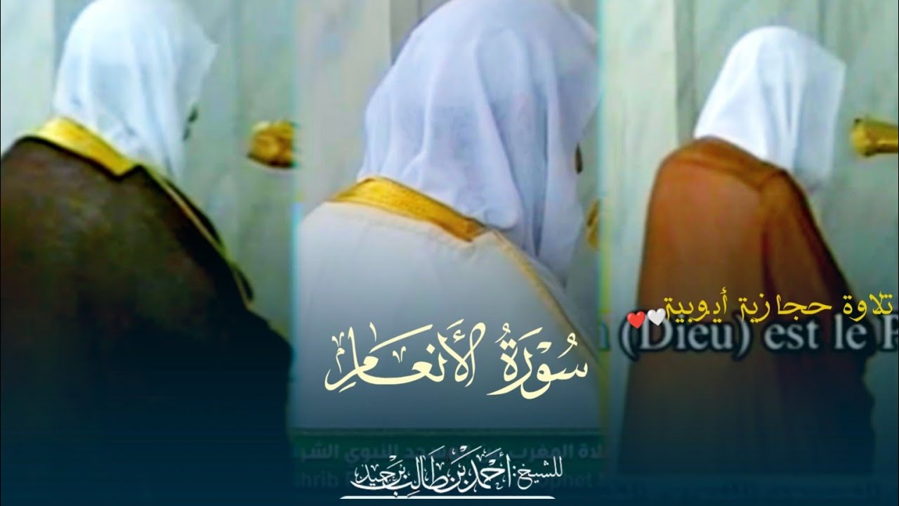 تلاوة حجازية أيوبية للشيخ د. أحمد طالب بن حميد سورة الأنعام