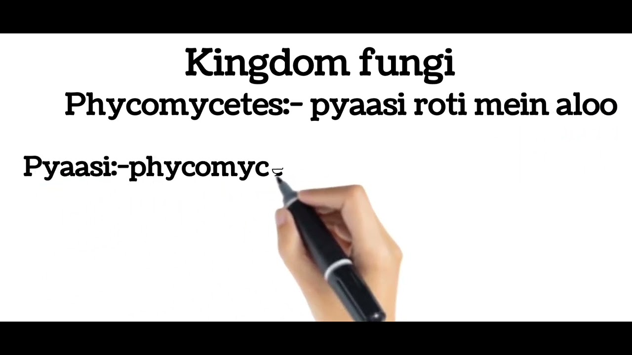 Easy trick to learn  phycomycetes | Fungi class 11|  NEET Biology short trick