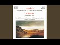 Miniature de la vidéo de la chanson Symfonie Č. 9 E Moll, Op. 95 „Z Nového Světa“: I. Adagio - Allegro Molto