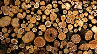 Aggregate Data in ArcGIS Online