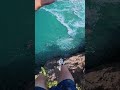Cliff Jump Vibes: Epic Views &amp; Turquoise Waters! #shorts
