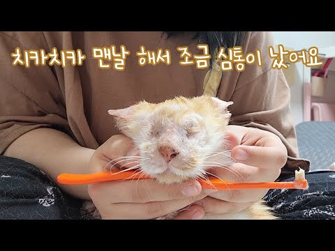 요즘 기적이는 맨날 양치해서 조금 심통이 났어요