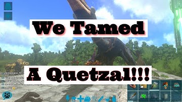 Quetzal Tame Tutorial (Ark Mobile)