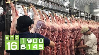 Yêu cầu 17 doanh nghiệp phải giảm giá thịt lợn | VTC16 thumbnail