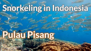 Pulau Pisang, Banda - 4K Snorkeling in Indonesia