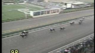 第８回 ダービーグランプリ◆H05（1993/11/21）