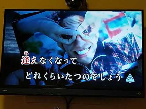 ひだまりの詩/Le Couple(ル·クプル)🎵歌ってみた🎤