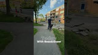 Today with my Great Danes Boaz&Gozer #todaystory #greatdanelove #greatdaneworld