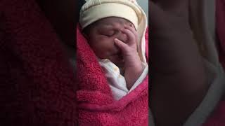 new born baby-born to thumb suck