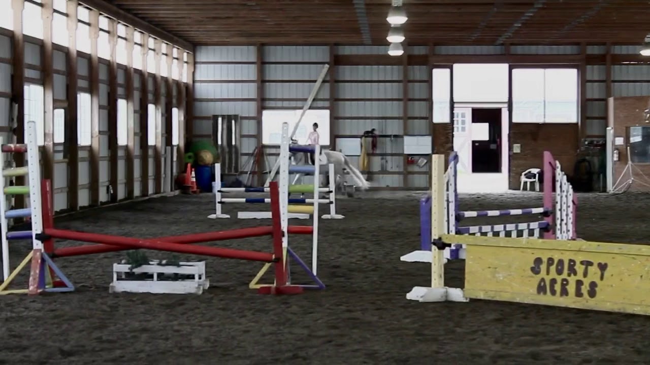 Garden State stay at home virtual Horse Show Class 52 Whiteside