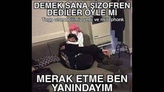 Togg otomobilimiz yerli ve milli (phonk remix) Resimi