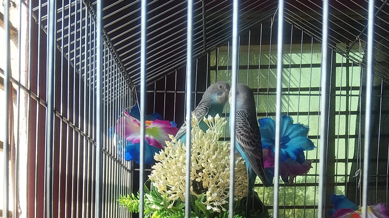 Omor Faruk official  is live!