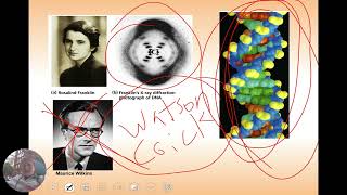 Chapter 12 Lecture Notes: DNA- RNA-- Protein Wealth