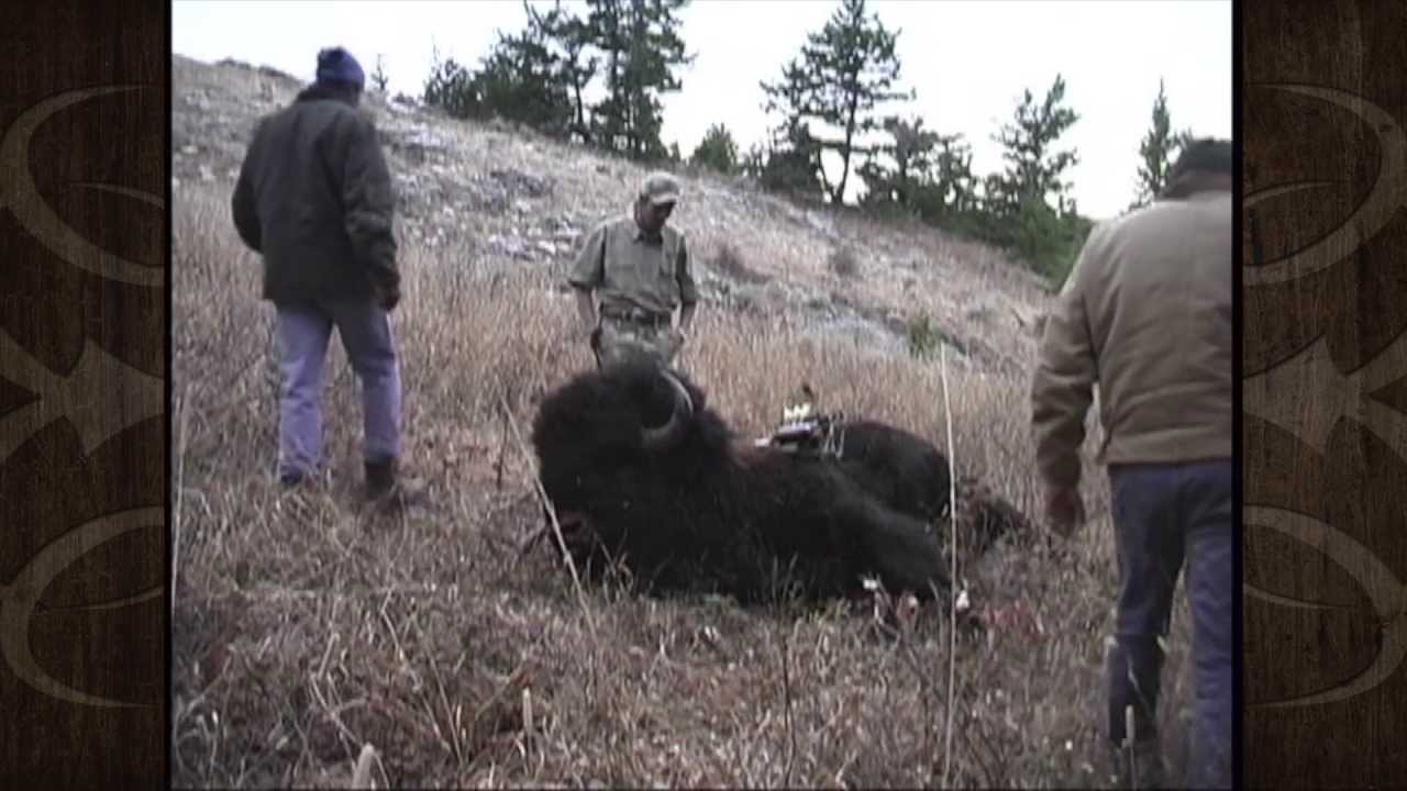 Archery Buffalo Hunt in Montana Stan Hansard MossBack YouTube