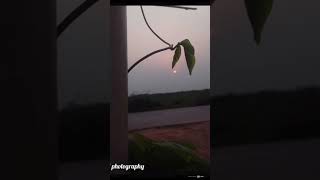 sad life#shortvideo#viralvideo #asia #nature #love #foryou #explore #poitrystatus #poetry #poitheory