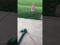 How to entertain a 3 year old.