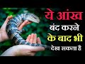 ये जीव आंखे बंद करने के बाद भी देख सकता है | 5 Intresting Facts In Hindi