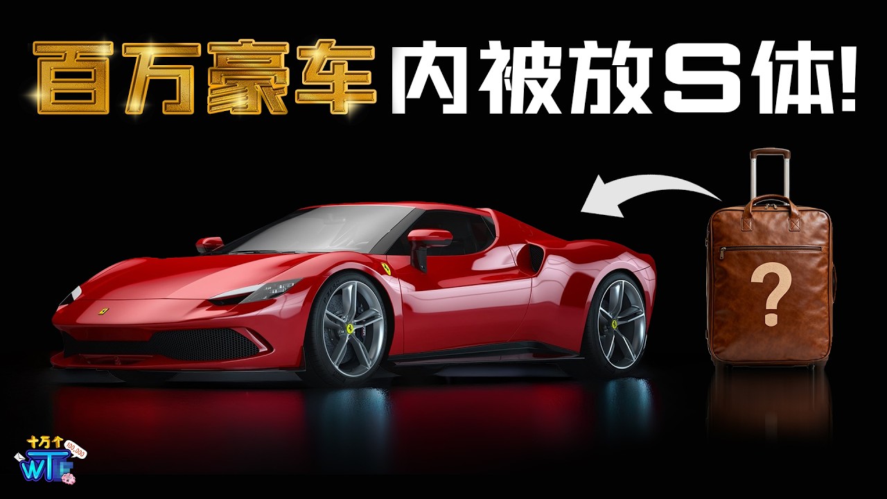 百万豪车内有S体，直接报废！太疯了🤯🤯 |【十万个WT...】｜低清Dissy｜