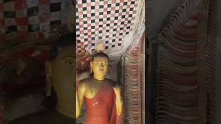 "MaraParajay "(Beat of "Mara ") Canopy cave -2 , Dambulla Cave shrilanka #short video