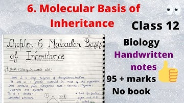 MOLECULAR BASIS OF INHERITANCE | CLASS 12 |CHAPTER 6 |BIOLOGY |BEST HANDWRITTEN NOTES |ChemiStudious