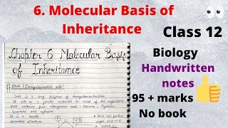 MOLECULAR BASIS OF INHERITANCE | CLASS 12 |CHAPTER 6 |BIOLOGY |BEST HANDWRITTEN NOTES |ChemiStudious
