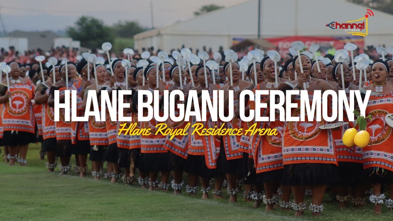 Hlane Buganu (Marula) Ceremony DAY 3 • Live from the Hlane Royal ...