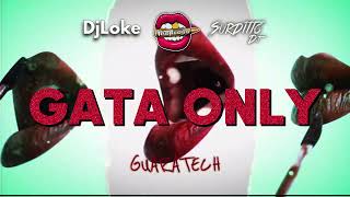 GATA ONLY (GUARATECH REMIX) - SURDITTO DJ / DJ LOKE & LUCIANO TRONCOSO #techengue #guaracha #aleteo