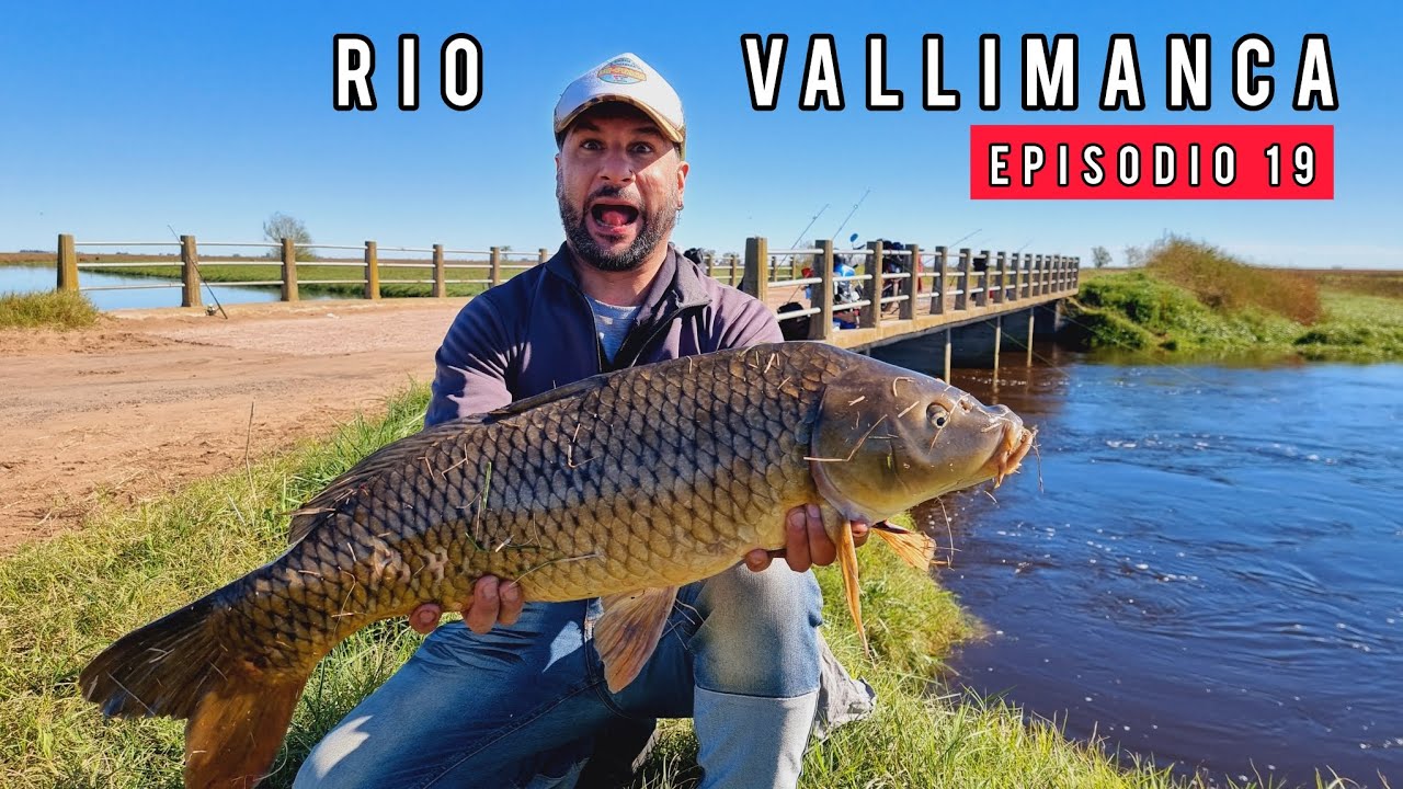 PESCA Y COCINA en el rio vallimanca, mucha pesca variada de bagres en este lugar gratis MJ-PESCA