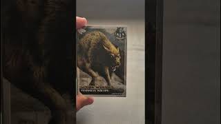 🎴 Dark Galaxy TCG — RARE CARD?!