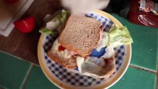 PROYECTO Real people fake arms The sandwich tutorial