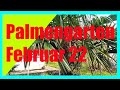 Palmengarten in Februar 2022