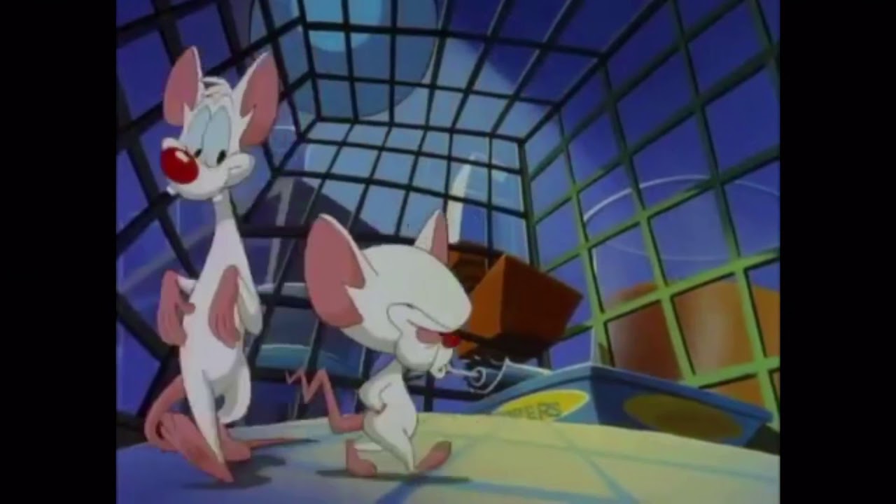 download pinky and the brain and animaniacs