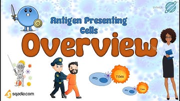 Antigen Presenting Cells | Overview | Understanding the Immune System | Immunology