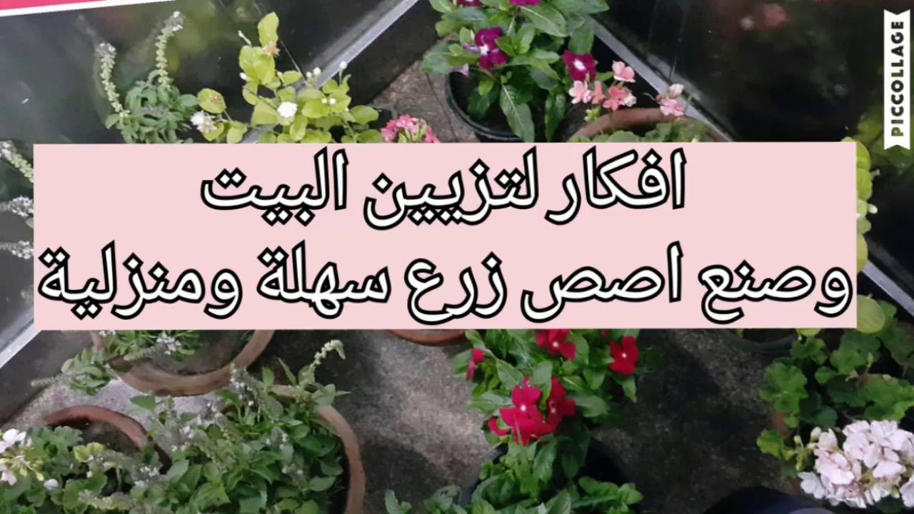 افكار لصنع اصص زرع سهلة وتزيين البيت بالزرع - YouTube