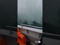 The Legendary Humpback Male  #views #funny #viral #male
