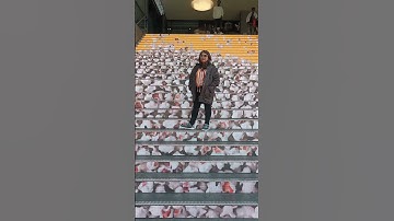 Innovative steps 🪜 seen & Jinal making  video near The Hague, Netherlands on 26 May 2023....