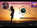 Молекула блаженства. Как увеличить уровень анандамида?