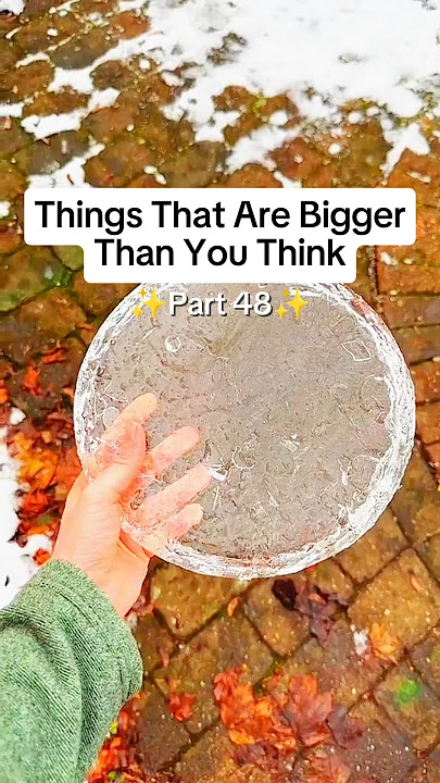 Things That Are Bigger Than you Think 🤯 |XXX TENTICION #ytshorts #viral #usa #uk