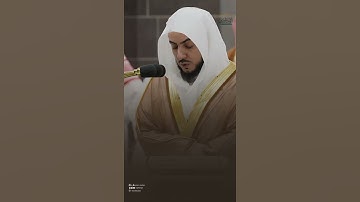 تلاوة من#سورة_النساء #الشيخ_الوليد_الشمسان #مكة_المكرمة #الحرم_المكي #المدينة_المنورة #الحرم_النبوي