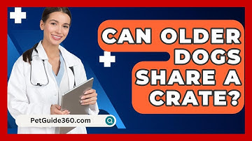 Can Older Dogs Share A Crate? - PetGuide360.com