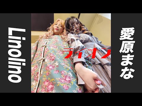 【コラボcover】ライオン/May'n&中島愛【covered by Linolino &愛原まな】